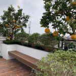 Nhà siêu đẹp phố cổ – cảnh giới cao của sự sang trọng – 60m2 x 7 tầng – ảnh thật – chỉ 9 tỷ
